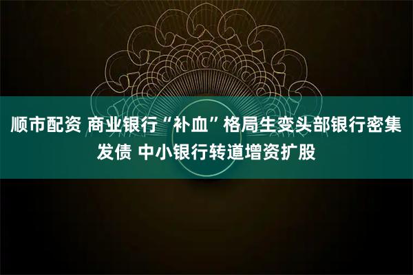 顺市配资 商业银行“补血”格局生变头部银行密集发债 中小银行转道增资扩股